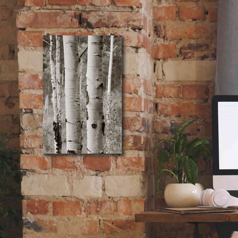 Image of 'Aspens II' by Debra Van Swearingen, Canvas Wall Art,12 x 18
