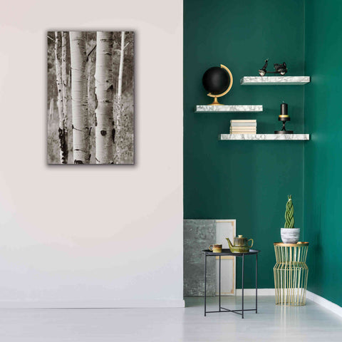 Image of 'Aspens II' by Debra Van Swearingen, Canvas Wall Art,26 x 40