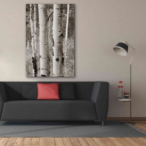Image of 'Aspens II' by Debra Van Swearingen, Canvas Wall Art,40 x 60