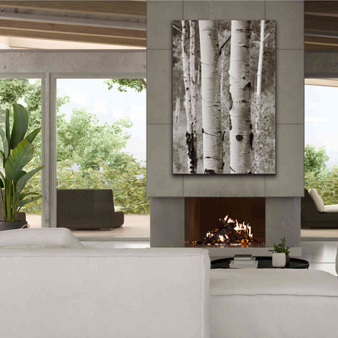 Image of 'Aspens II' by Debra Van Swearingen, Canvas Wall Art,40 x 60