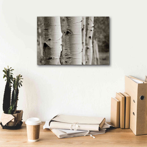 Image of 'Aspens III' by Debra Van Swearingen, Canvas Wall Art,18 x 12