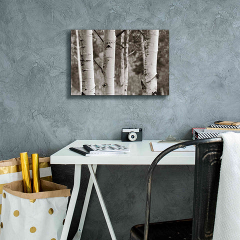 Image of 'Aspens IV' by Debra Van Swearingen, Canvas Wall Art,18 x 12