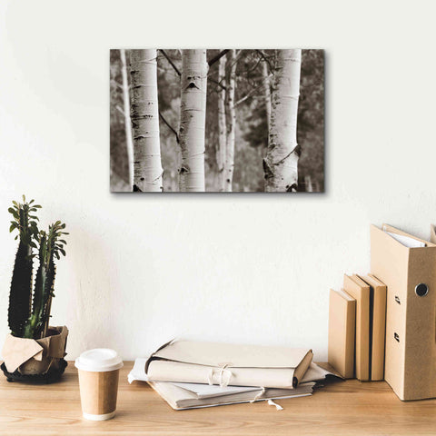 Image of 'Aspens IV' by Debra Van Swearingen, Canvas Wall Art,18 x 12