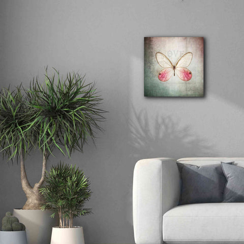 Image of 'French Butterfly I' by Debra Van Swearingen, Canvas Wall Art,18 x 18