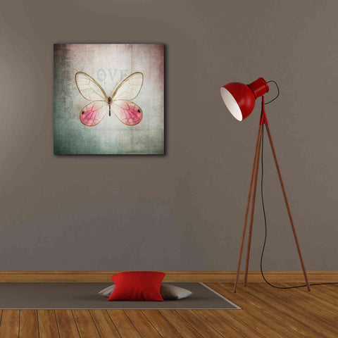 Image of 'French Butterfly I' by Debra Van Swearingen, Canvas Wall Art,26 x 26