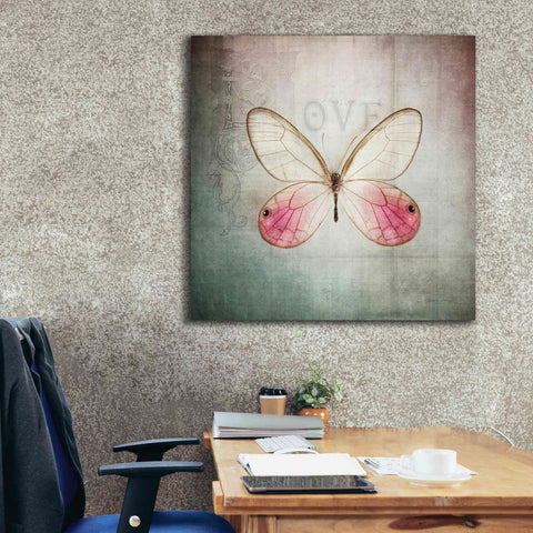 Image of 'French Butterfly I' by Debra Van Swearingen, Canvas Wall Art,37 x 37