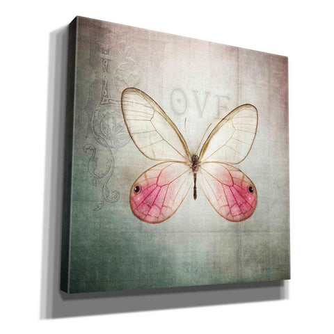 Image of 'French Butterfly I' by Debra Van Swearingen, Canvas Wall Art,12x12x1.1x0,18x18x1.1x0,26x26x1.74x0,37x37x1.74x0