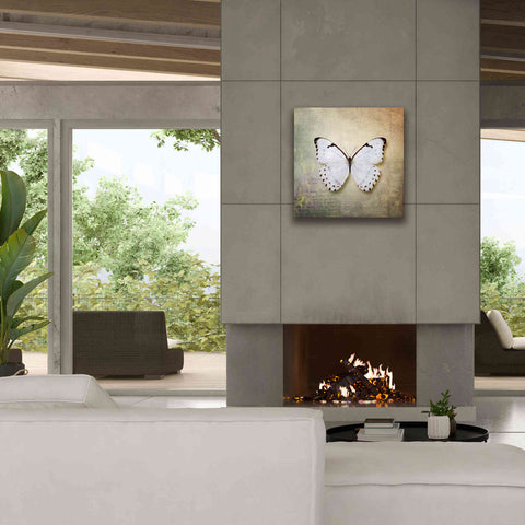 Image of 'French Butterfly II' by Debra Van Swearingen, Canvas Wall Art,26 x 26
