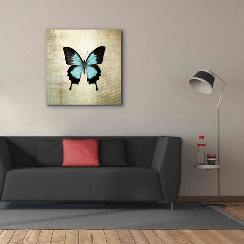 Image of 'French Butterfly III' by Debra Van Swearingen, Canvas Wall Art,37 x 37