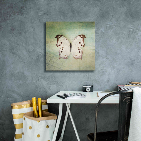 Image of 'French Butterfly IV' by Debra Van Swearingen, Canvas Wall Art,18 x 18