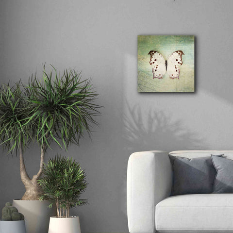 Image of 'French Butterfly IV' by Debra Van Swearingen, Canvas Wall Art,18 x 18