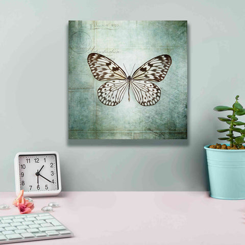 Image of 'French Butterfly V' by Debra Van Swearingen, Canvas Wall Art,12 x 12