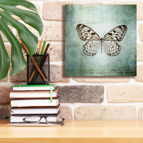 Image of 'French Butterfly V' by Debra Van Swearingen, Canvas Wall Art,12 x 12