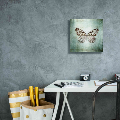 Image of 'French Butterfly V' by Debra Van Swearingen, Canvas Wall Art,12 x 12