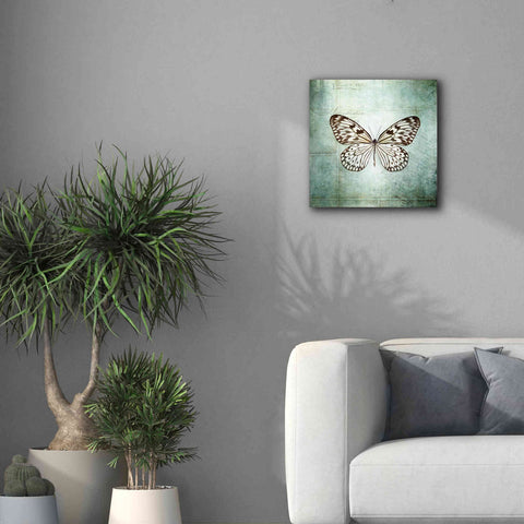 Image of 'French Butterfly V' by Debra Van Swearingen, Canvas Wall Art,18 x 18