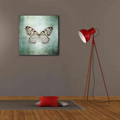 Image of 'French Butterfly V' by Debra Van Swearingen, Canvas Wall Art,26 x 26