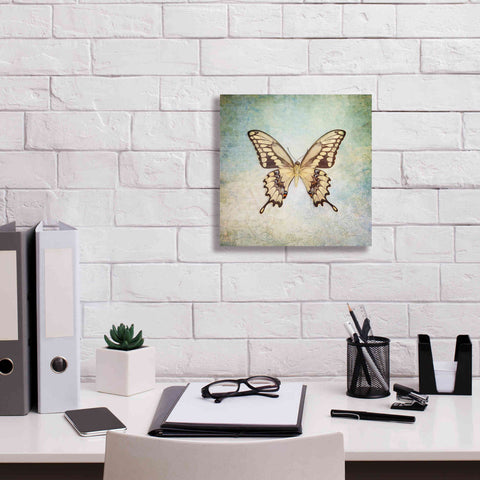 Image of 'French Butterfly VI' by Debra Van Swearingen, Canvas Wall Art,12 x 12