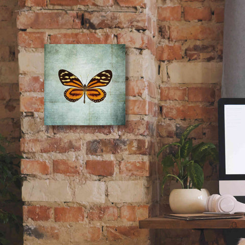 Image of 'French Butterfly VIII' by Debra Van Swearingen, Canvas Wall Art,12 x 12