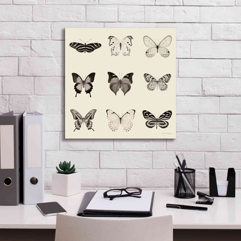 Image of 'Butterfly BW 9 Patch' by Debra Van Swearingen, Canvas Wall Art,18 x 18