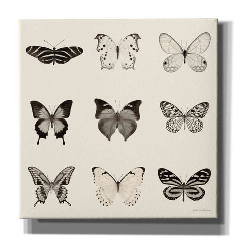 Image of 'Butterfly BW 9 Patch' by Debra Van Swearingen, Canvas Wall Art,12x12x1.1x0,18x18x1.1x0,26x26x1.74x0,37x37x1.74x0
