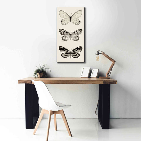 Image of 'Butterfly BW Panel II' by Debra Van Swearingen, Canvas Wall Art,20 x 40