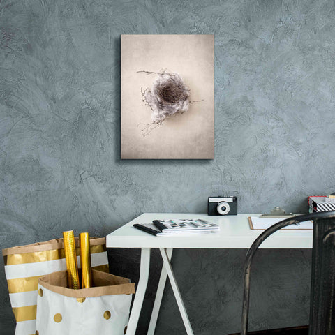Image of 'Nest III' by Debra Van Swearingen, Canvas Wall Art,12 x 16