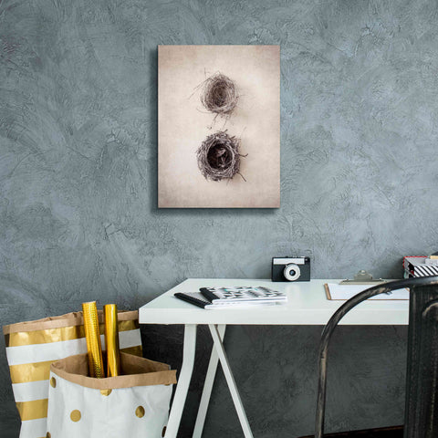 Image of 'Nest IV' by Debra Van Swearingen, Canvas Wall Art,12 x 16