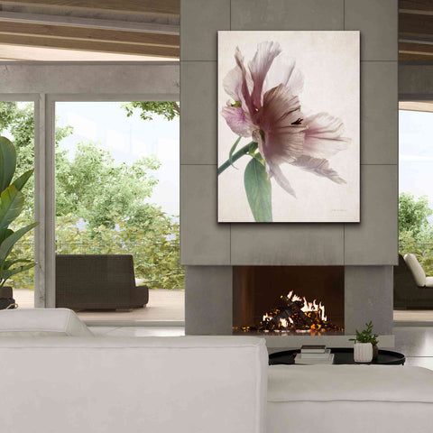 Image of 'Translucent Peony II' by Debra Van Swearingen, Canvas Wall Art,40 x 54