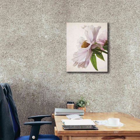 Image of 'Translucent Peony IV' by Debra Van Swearingen, Canvas Wall Art,20 x 24