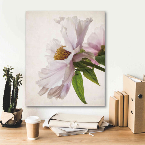 Image of 'Translucent Peony IV' by Debra Van Swearingen, Canvas Wall Art,20 x 24