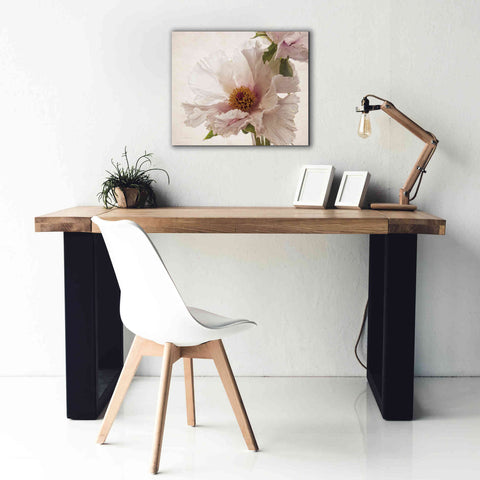 Image of 'Translucent Peony V' by Debra Van Swearingen, Canvas Wall Art,24 x 20