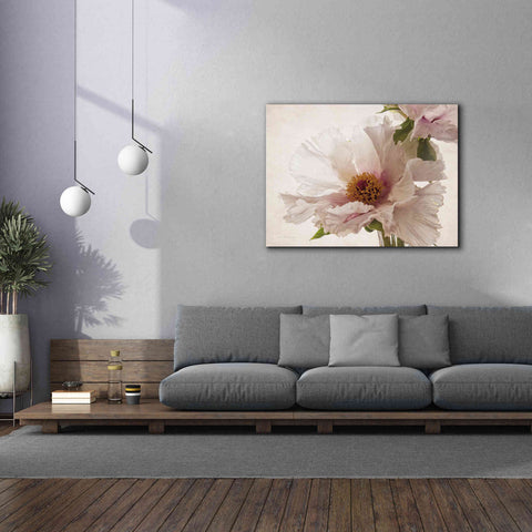 Image of 'Translucent Peony V' by Debra Van Swearingen, Canvas Wall Art,54 x 40