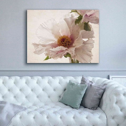 Image of 'Translucent Peony V' by Debra Van Swearingen, Canvas Wall Art,54 x 40