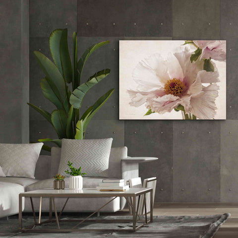 Image of 'Translucent Peony V' by Debra Van Swearingen, Canvas Wall Art,54 x 40