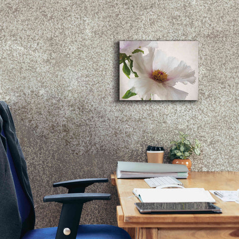 Image of 'Translucent Peony VI' by Debra Van Swearingen, Canvas Wall Art,16 x 12