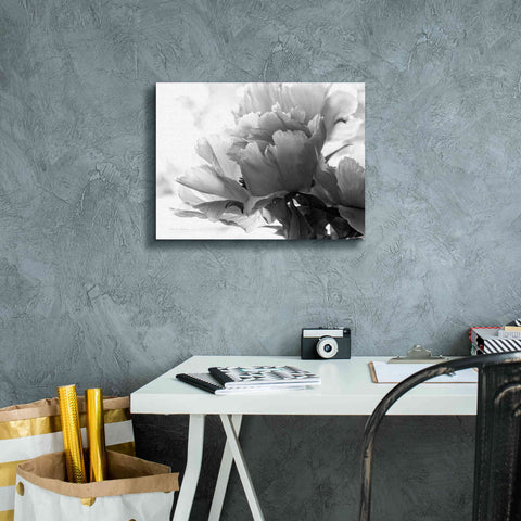 Image of 'Translucent Peony IBW' by Debra Van Swearingen, Canvas Wall Art,16 x 12