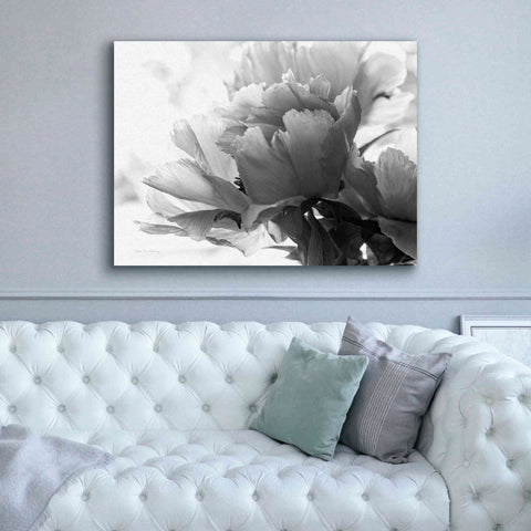 Image of 'Translucent Peony IBW' by Debra Van Swearingen, Canvas Wall Art,54 x 40