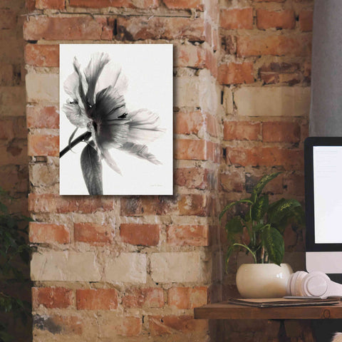 Image of 'Translucent Peony IIBW' by Debra Van Swearingen, Canvas Wall Art,12 x 16