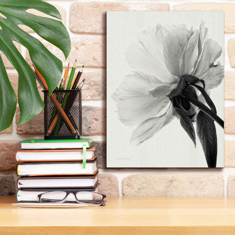 Image of 'Translucent Peony IIIBW' by Debra Van Swearingen, Canvas Wall Art,12 x 16