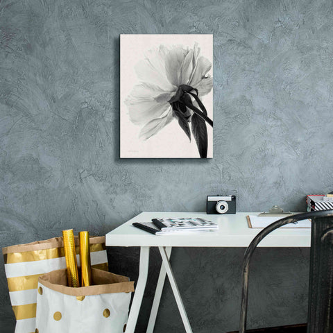 Image of 'Translucent Peony IIIBW' by Debra Van Swearingen, Canvas Wall Art,12 x 16