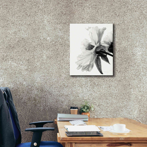 Image of 'Translucent Peony IVBW' by Debra Van Swearingen, Canvas Wall Art,20 x 24