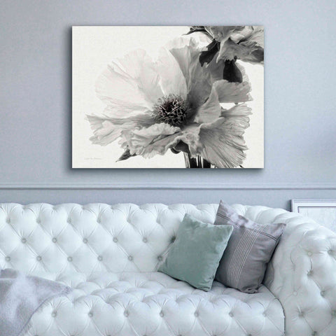 Image of 'Translucent Peony VBW' by Debra Van Swearingen, Canvas Wall Art,54 x 40