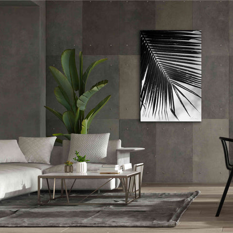 Image of 'Palm Frond II' by Debra Van Swearingen, Canvas Wall Art,40 x 60