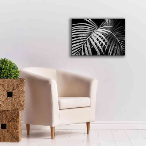 Image of 'Palm Fronds' by Debra Van Swearingen, Canvas Wall Art,26 x 18