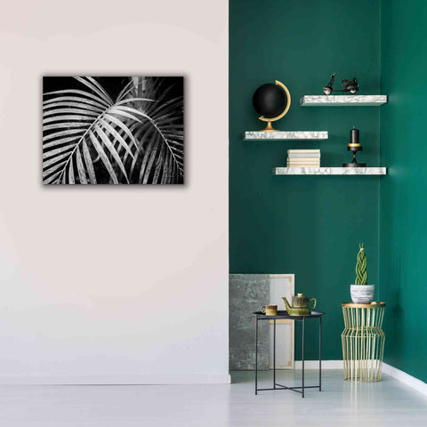 Image of 'Palm Fronds' by Debra Van Swearingen, Canvas Wall Art,34 x 26