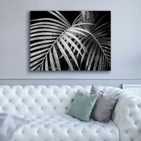 Image of 'Palm Fronds' by Debra Van Swearingen, Canvas Wall Art,54 x 40