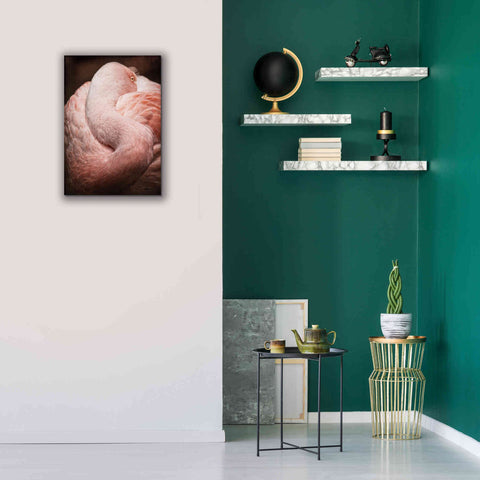 Image of 'Chilean Flamingo I' by Debra Van Swearingen, Canvas Wall Art,18 x 26