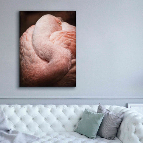 Image of 'Chilean Flamingo I' by Debra Van Swearingen, Canvas Wall Art,40 x 54