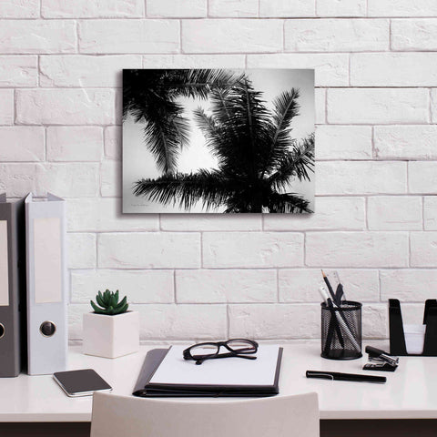 Image of 'Palm Tree Looking Up I' by Debra Van Swearingen, Canvas Wall Art,16 x 12