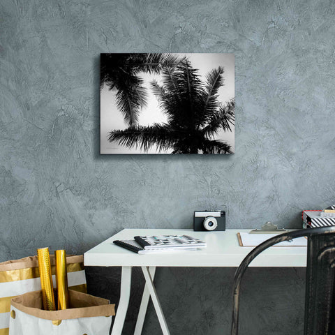Image of 'Palm Tree Looking Up I' by Debra Van Swearingen, Canvas Wall Art,16 x 12
